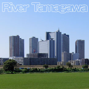 river_tamagawa