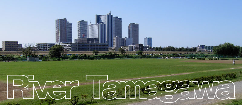 river tamagawa