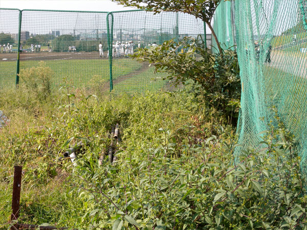 tamagawa090926_3